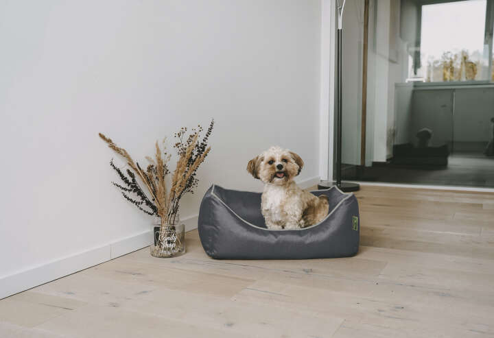 HUNTER Orthopädisches Hunde-Sofa Cleveland